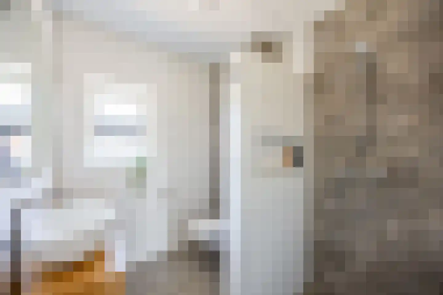 Pastoor van Tielstraat 32 Leuth thumbnail 17
