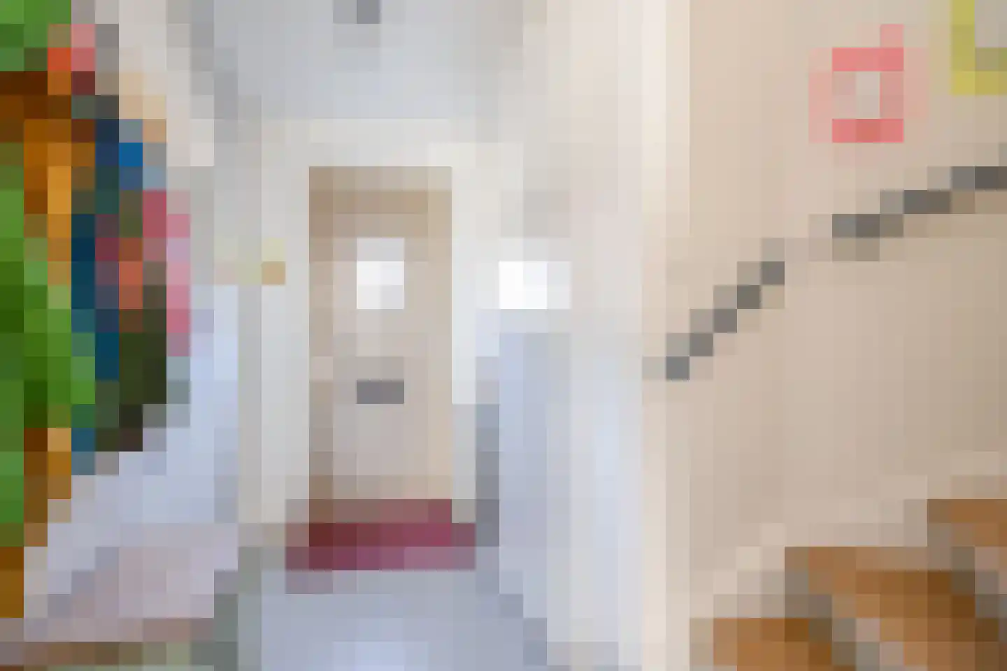 Pastoor van Tielstraat 32 Leuth thumbnail 27