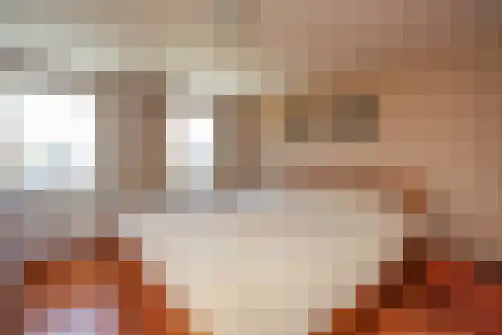 Pastoor van Tielstraat 57 Leuth thumbnail 26