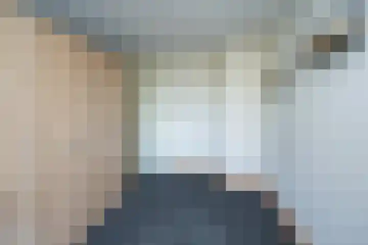 Pastoor van Tielstraat 57 Leuth thumbnail 32