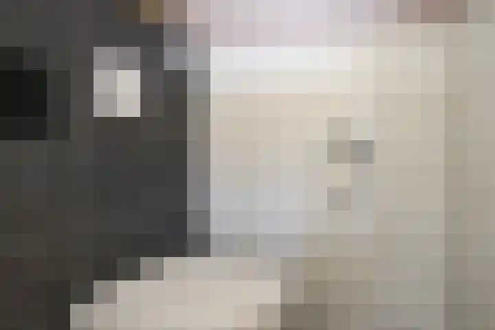 Pastoor van Tielstraat 57 Leuth thumbnail 5