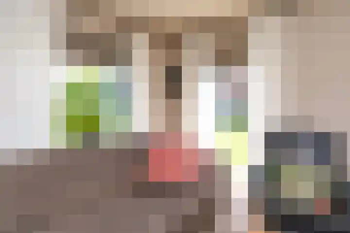 Pastoor van Tielstraat 57 Leuth thumbnail 9