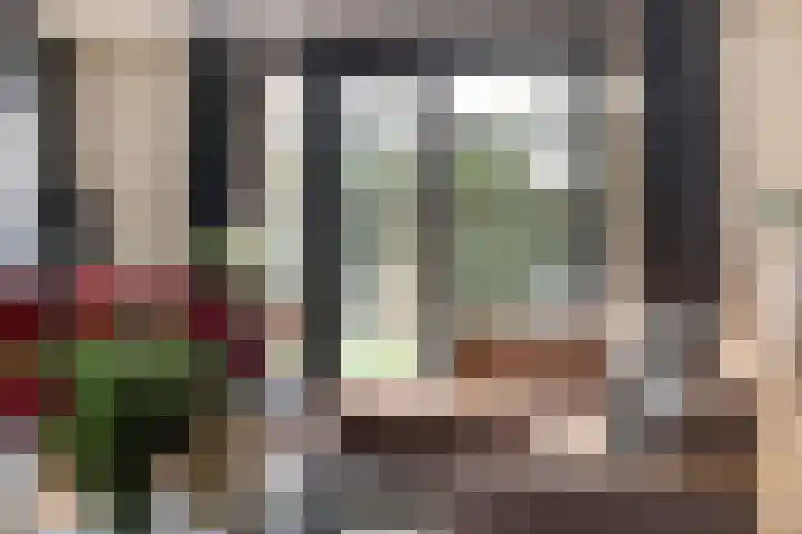 Pastoor van Tielstraat 66 Leuth thumbnail 10