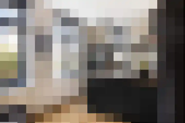 Pastoor van Tielstraat 66 Leuth thumbnail 17