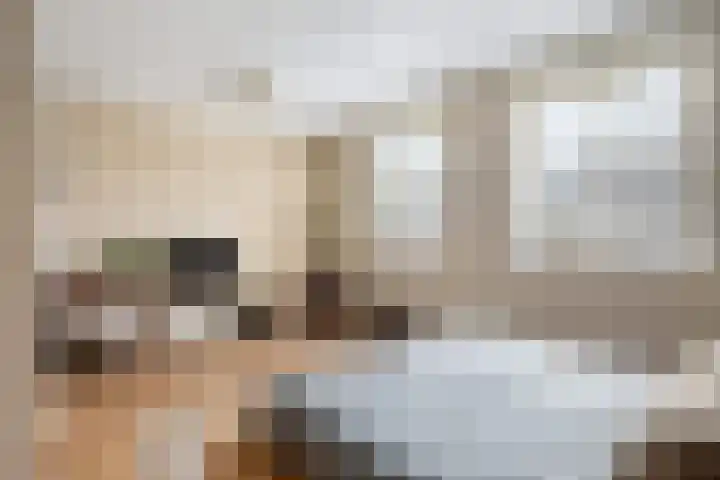 Pastoor van Tielstraat 66 Leuth thumbnail 20