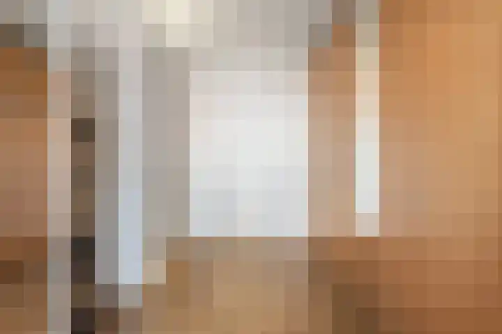 Pastoor van Tielstraat 66 Leuth thumbnail 22