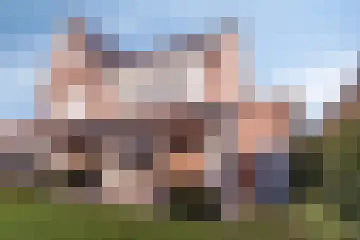 Pastoor van Tielstraat 66 Leuth thumbnail 29