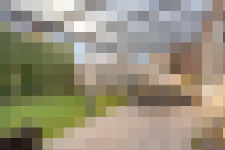 Pastoor van Tielstraat 66 Leuth thumbnail 31