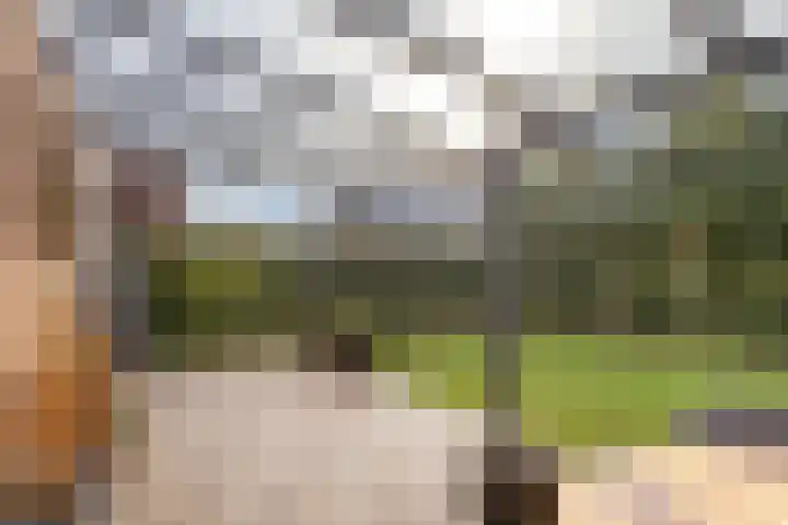 Pastoor van Tielstraat 66 Leuth thumbnail 32