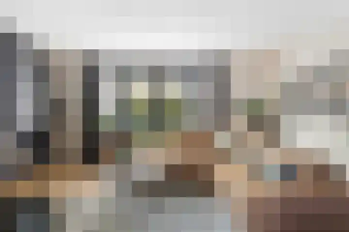 Pastoor van Tielstraat 66 Leuth thumbnail 9