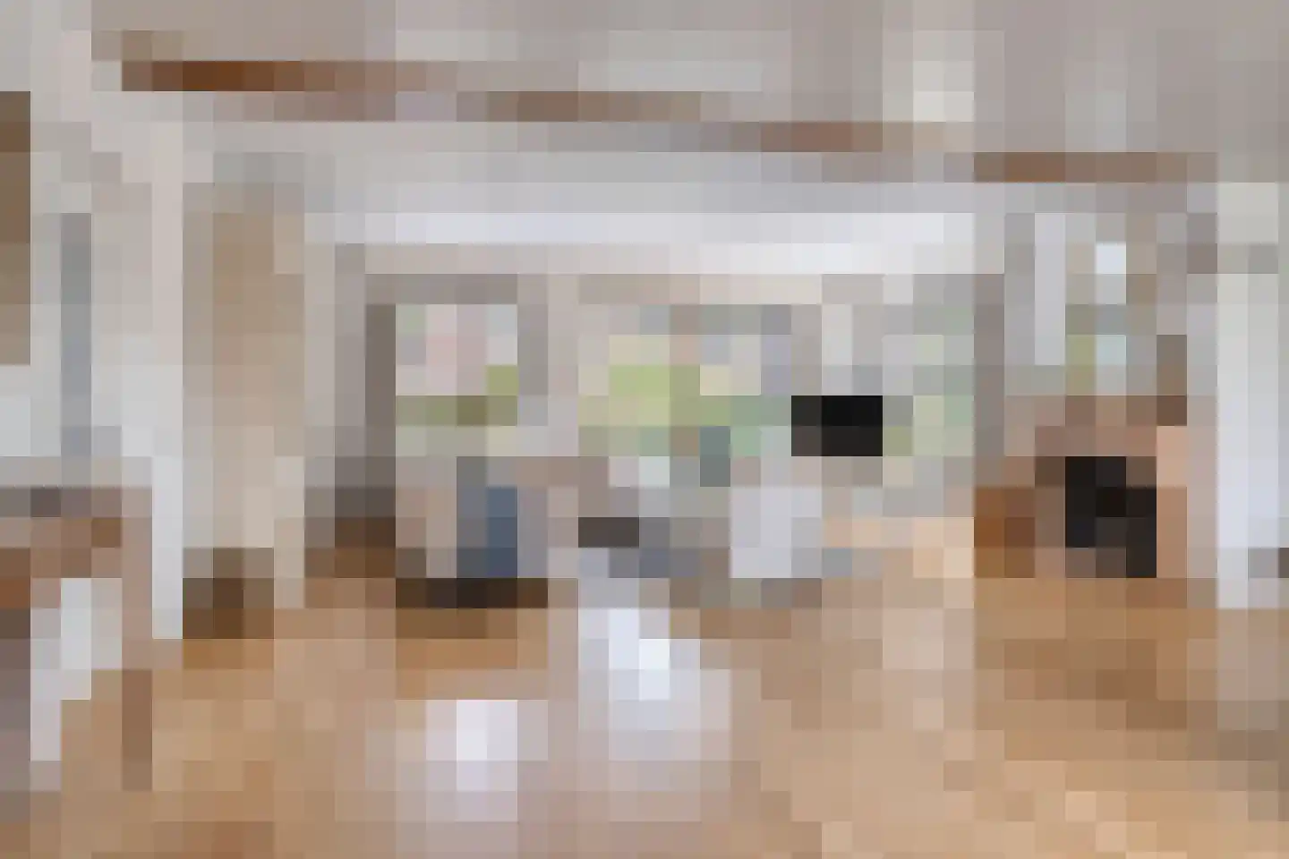 Pastoor van Vessemstraat 14 Klein Zundert thumbnail 11