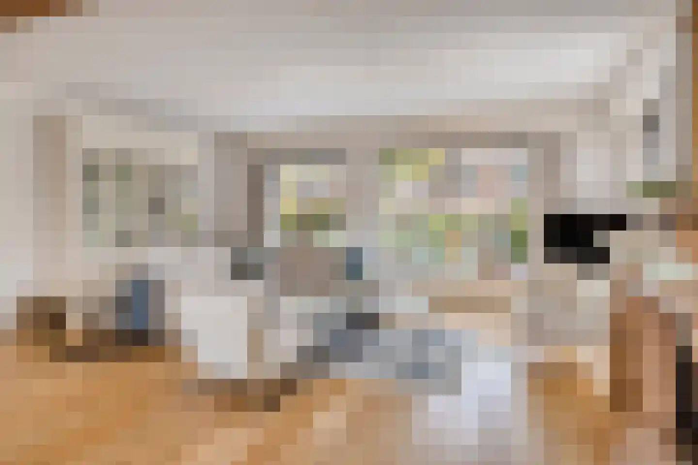 Pastoor van Vessemstraat 14 Klein Zundert thumbnail 12