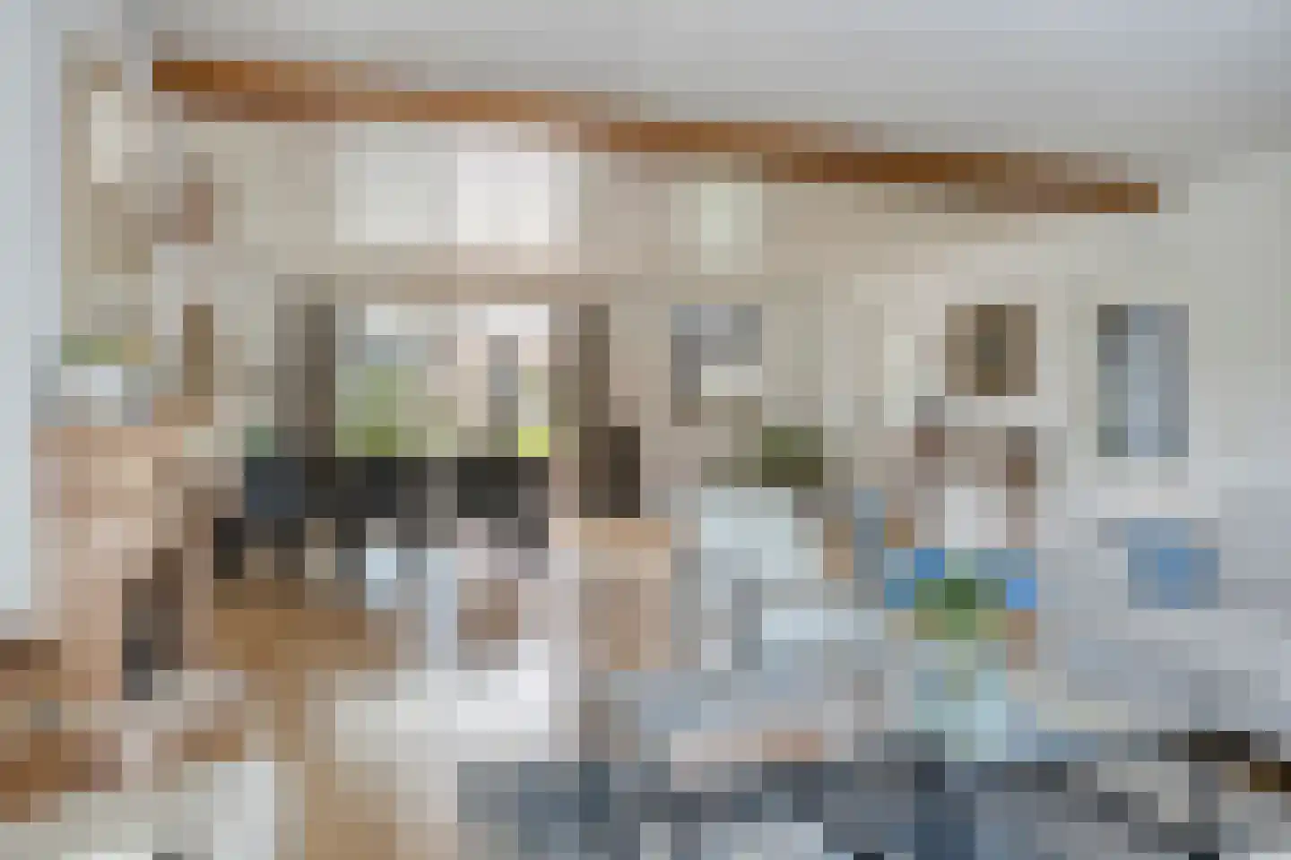 Pastoor van Vessemstraat 14 Klein Zundert thumbnail 18