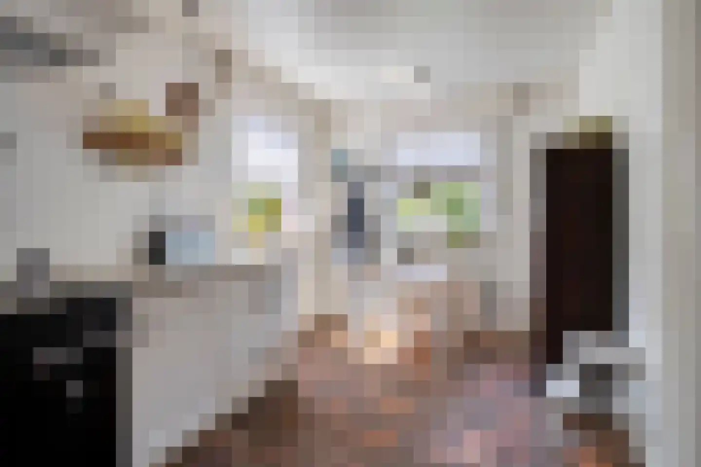 Pastoor van Vessemstraat 14 Klein Zundert thumbnail 26