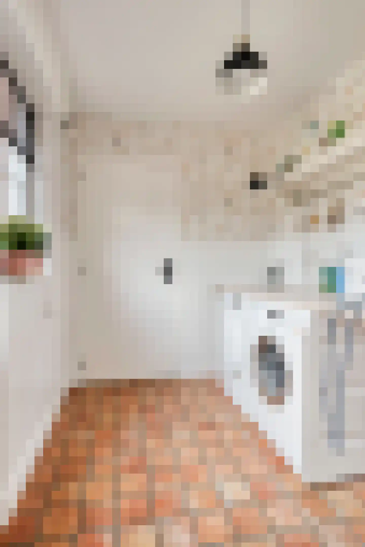 Pastoor van Vessemstraat 14 Klein Zundert thumbnail 28