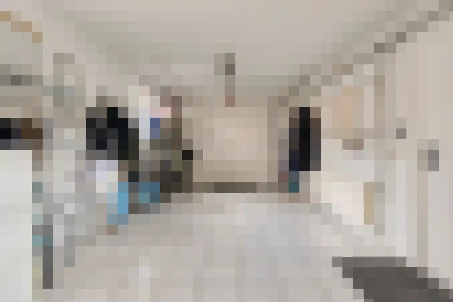 Pastoor van Vessemstraat 14 Klein Zundert thumbnail 31