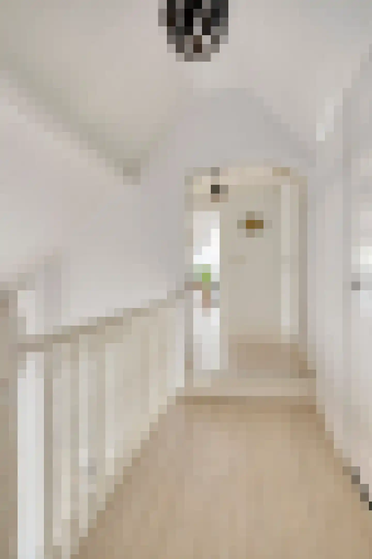 Pastoor van Vessemstraat 14 Klein Zundert thumbnail 33