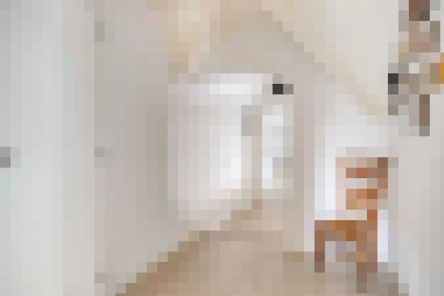 Pastoor van Vessemstraat 14 Klein Zundert thumbnail 35