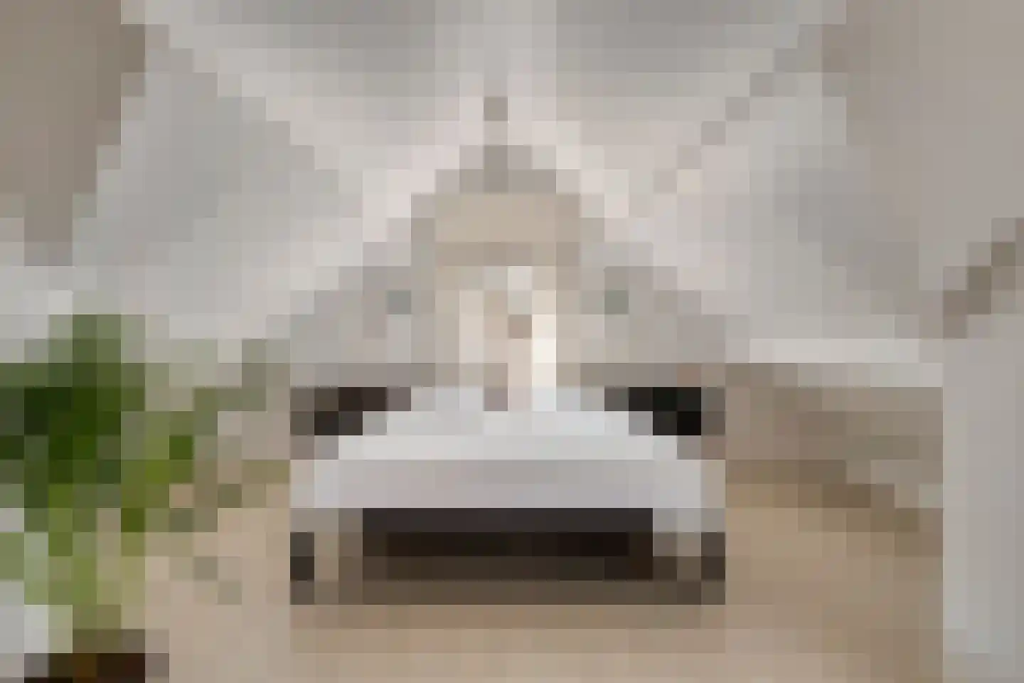 Pastoor van Vessemstraat 14 Klein Zundert thumbnail 36