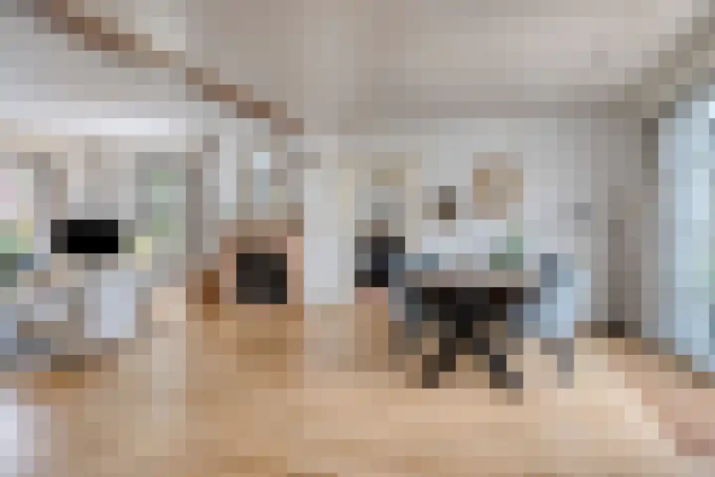 Pastoor van Vessemstraat 14 Klein Zundert thumbnail 4