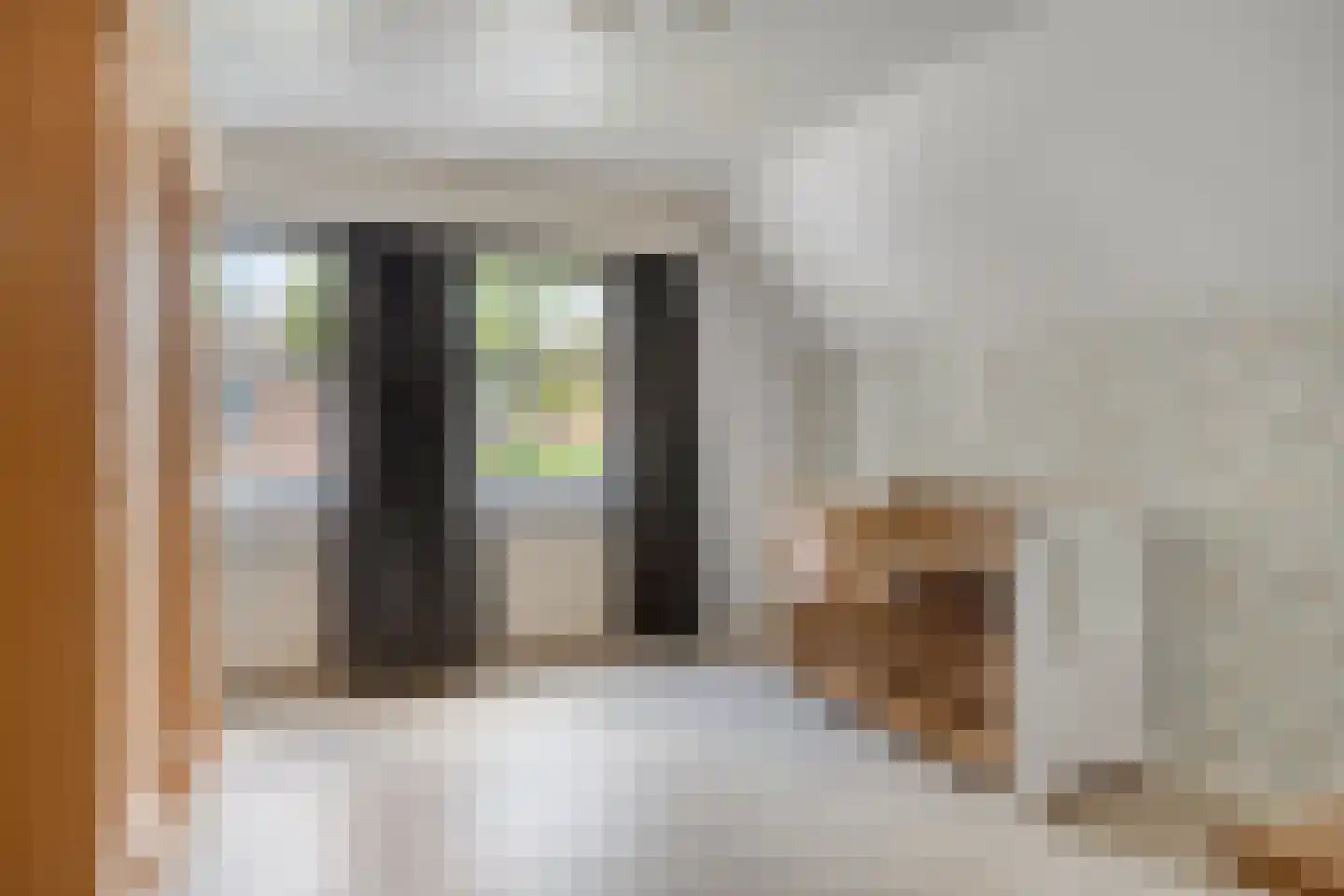Pastoor van Vessemstraat 14 Klein Zundert thumbnail 40