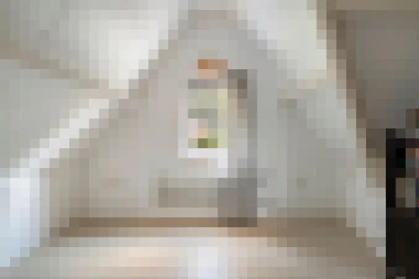 Pastoor van Vessemstraat 14 Klein Zundert thumbnail 45