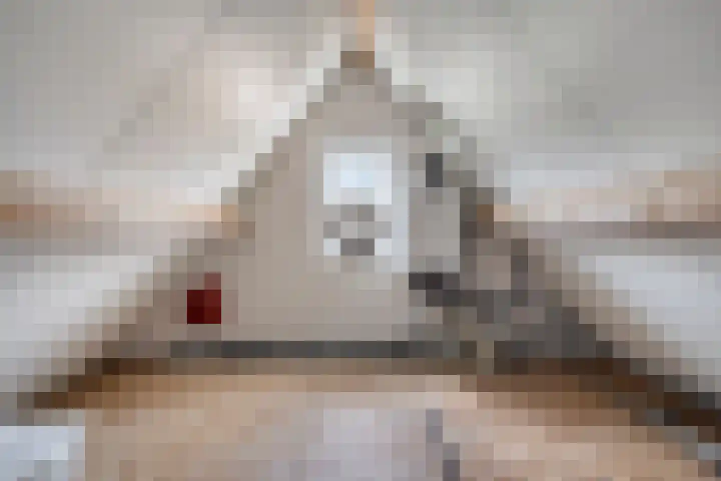 Pastoor van Vessemstraat 14 Klein Zundert thumbnail 49