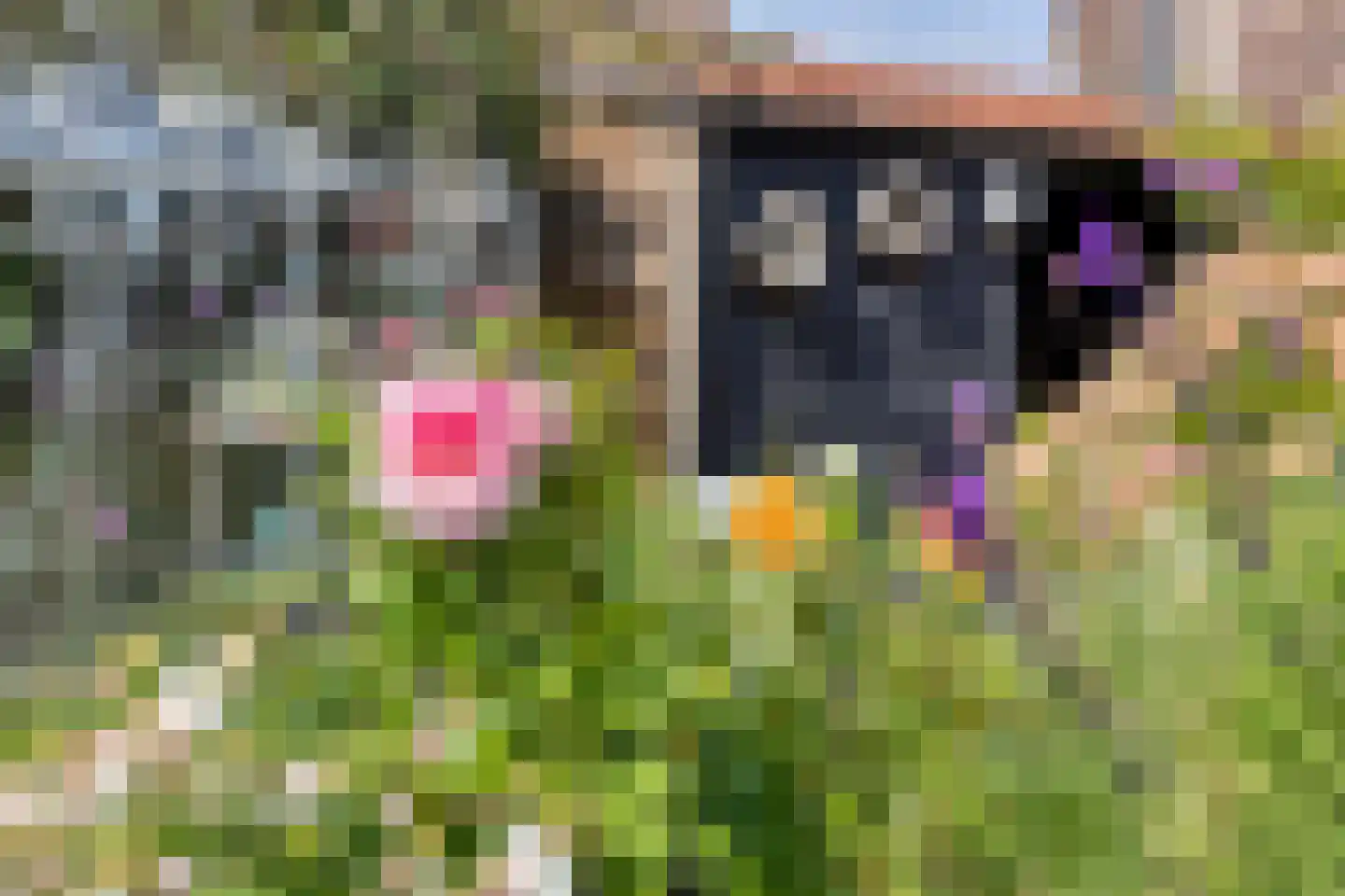 Pastoor van Vessemstraat 14 Klein Zundert thumbnail 63