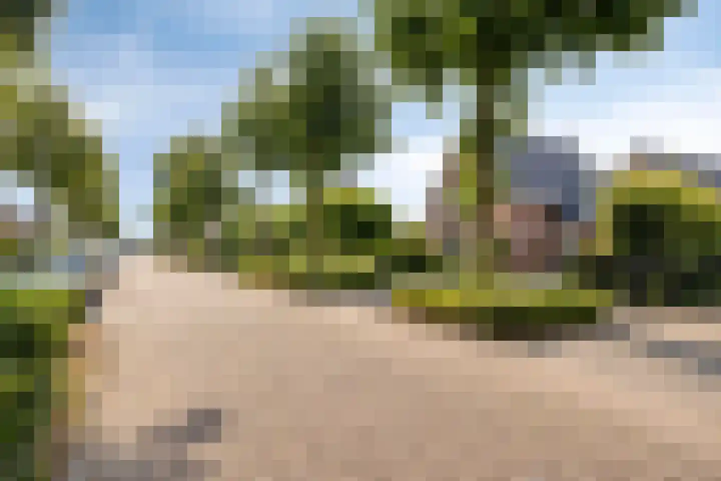 Pastoor van Vessemstraat 14 Klein Zundert thumbnail 68
