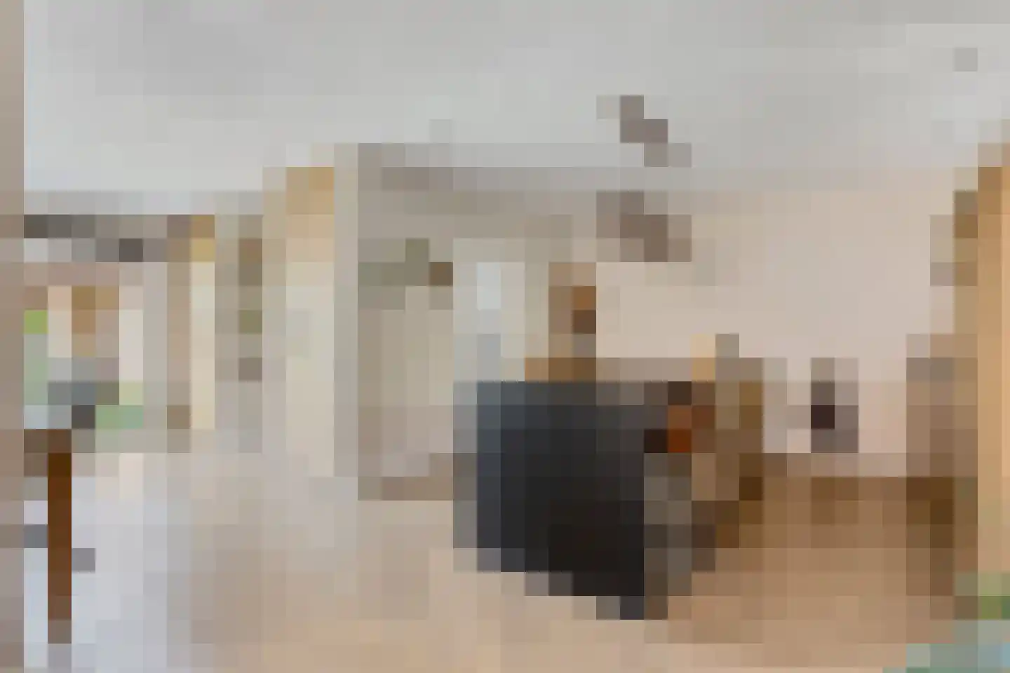 Pastoor van Vessemstraat 18 Klein Zundert thumbnail 10
