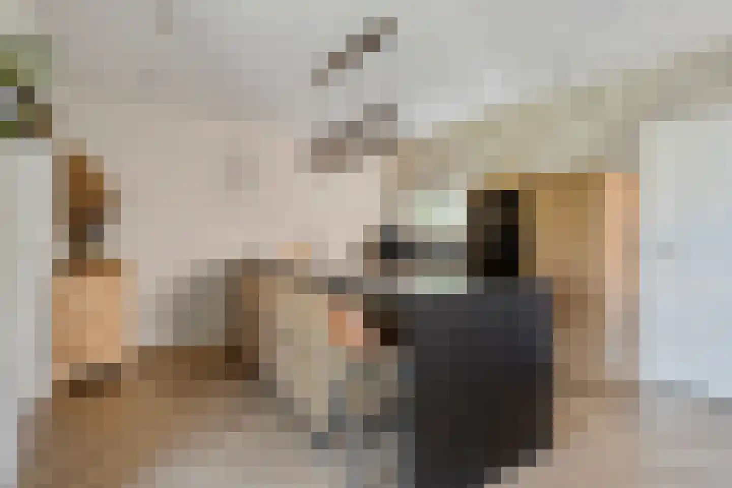 Pastoor van Vessemstraat 18 Klein Zundert thumbnail 11