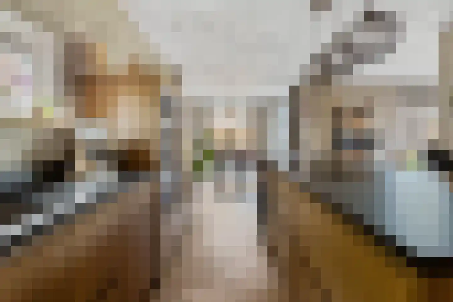 Pastoor van Vessemstraat 18 Klein Zundert thumbnail 12
