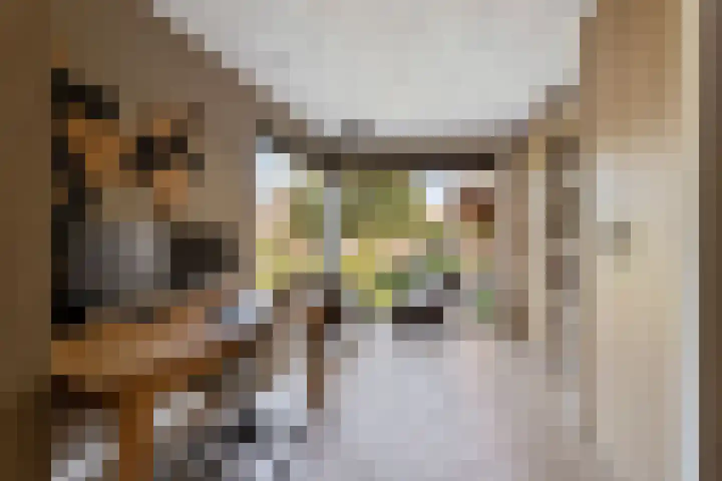 Pastoor van Vessemstraat 18 Klein Zundert thumbnail 13