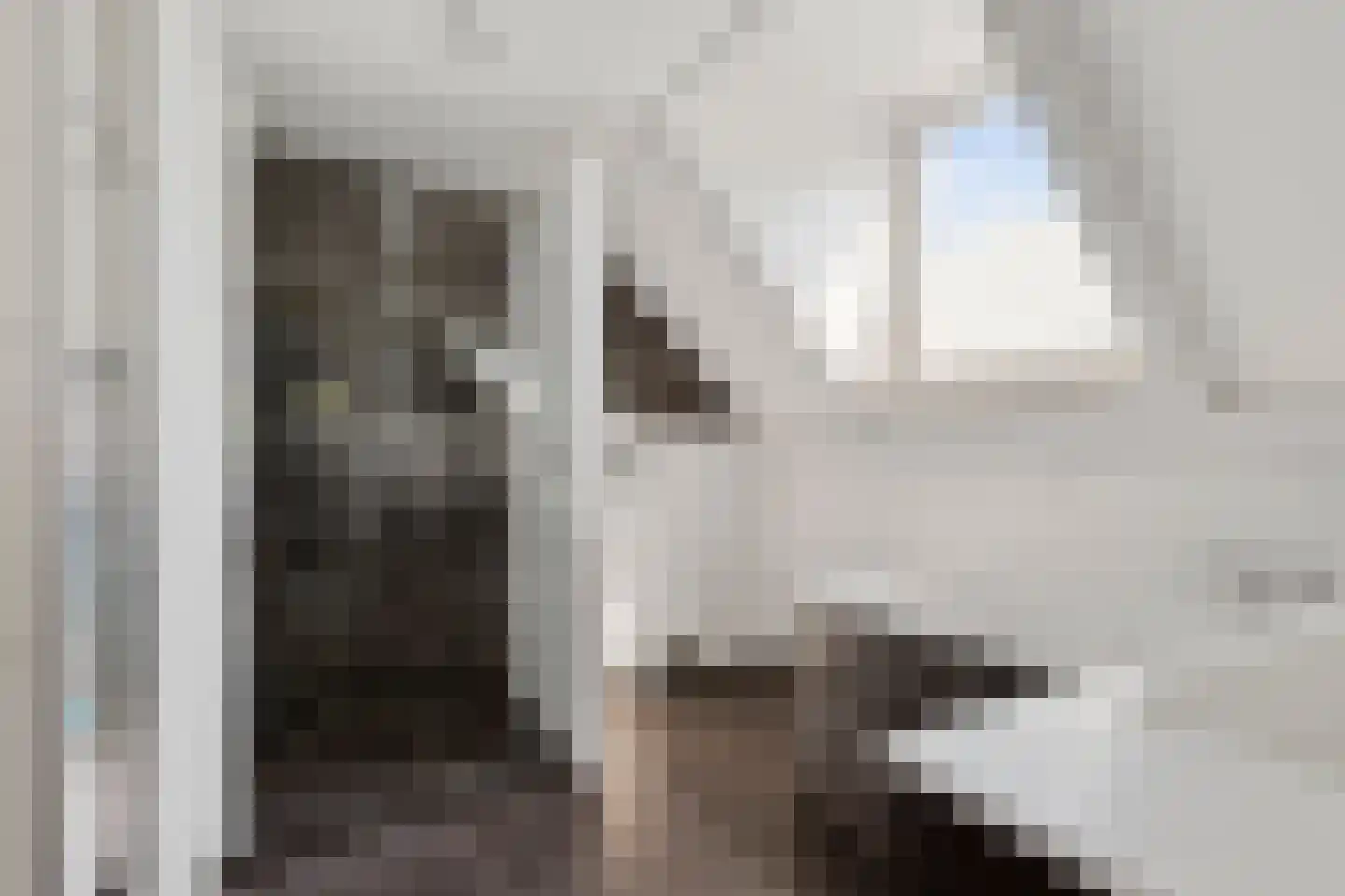 Pastoor van Vessemstraat 18 Klein Zundert thumbnail 21