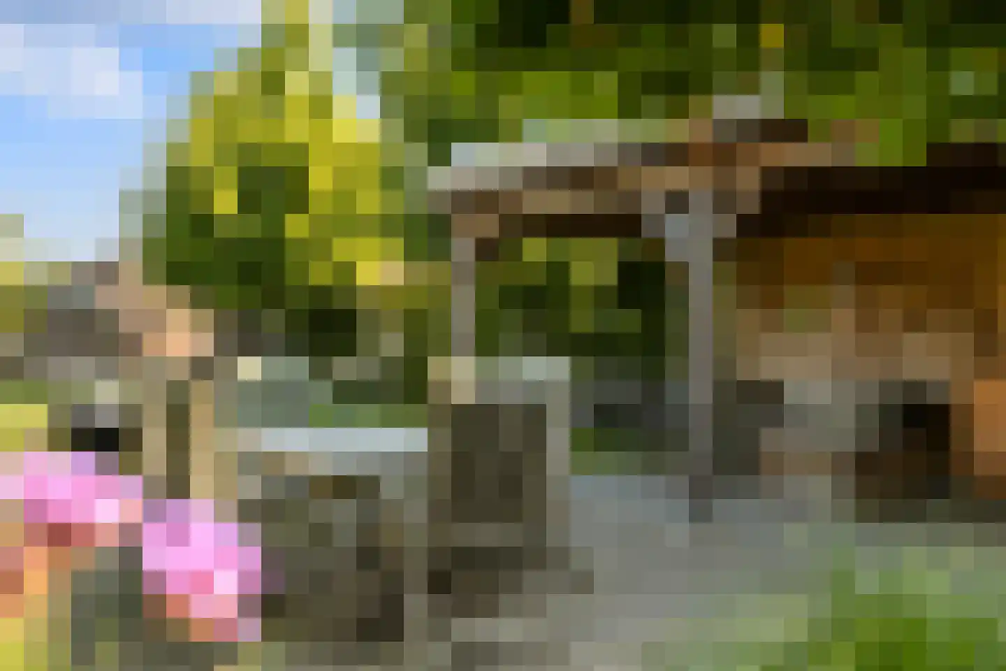 Pastoor van Vessemstraat 18 Klein Zundert thumbnail 24