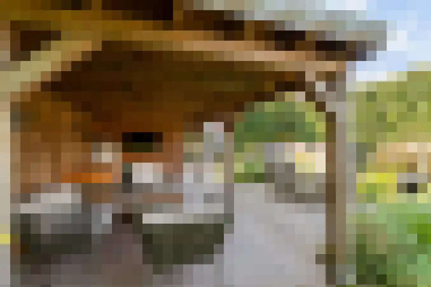 Pastoor van Vessemstraat 18 Klein Zundert thumbnail 25