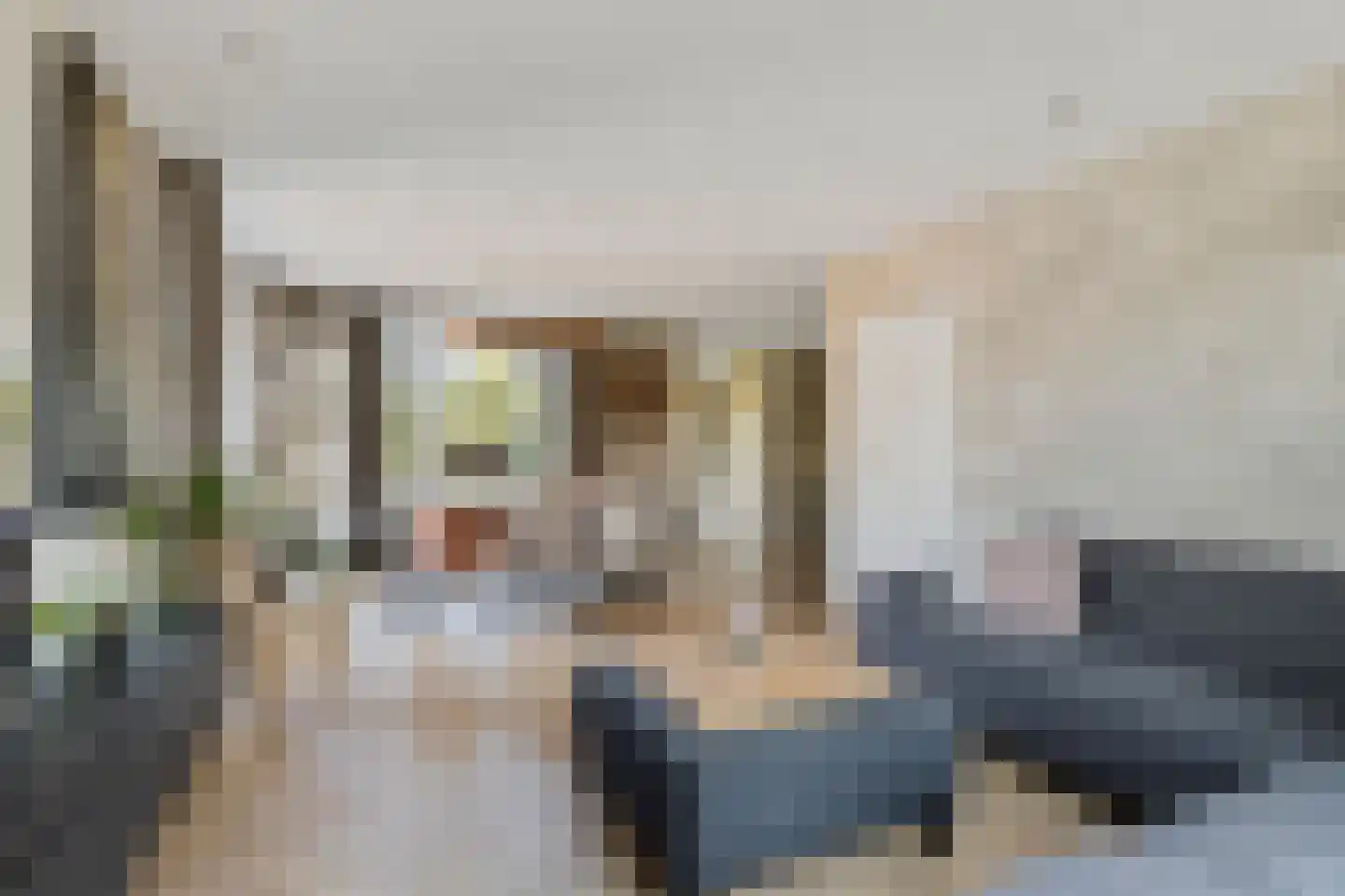 Pastoor van Vessemstraat 18 Klein Zundert thumbnail 8