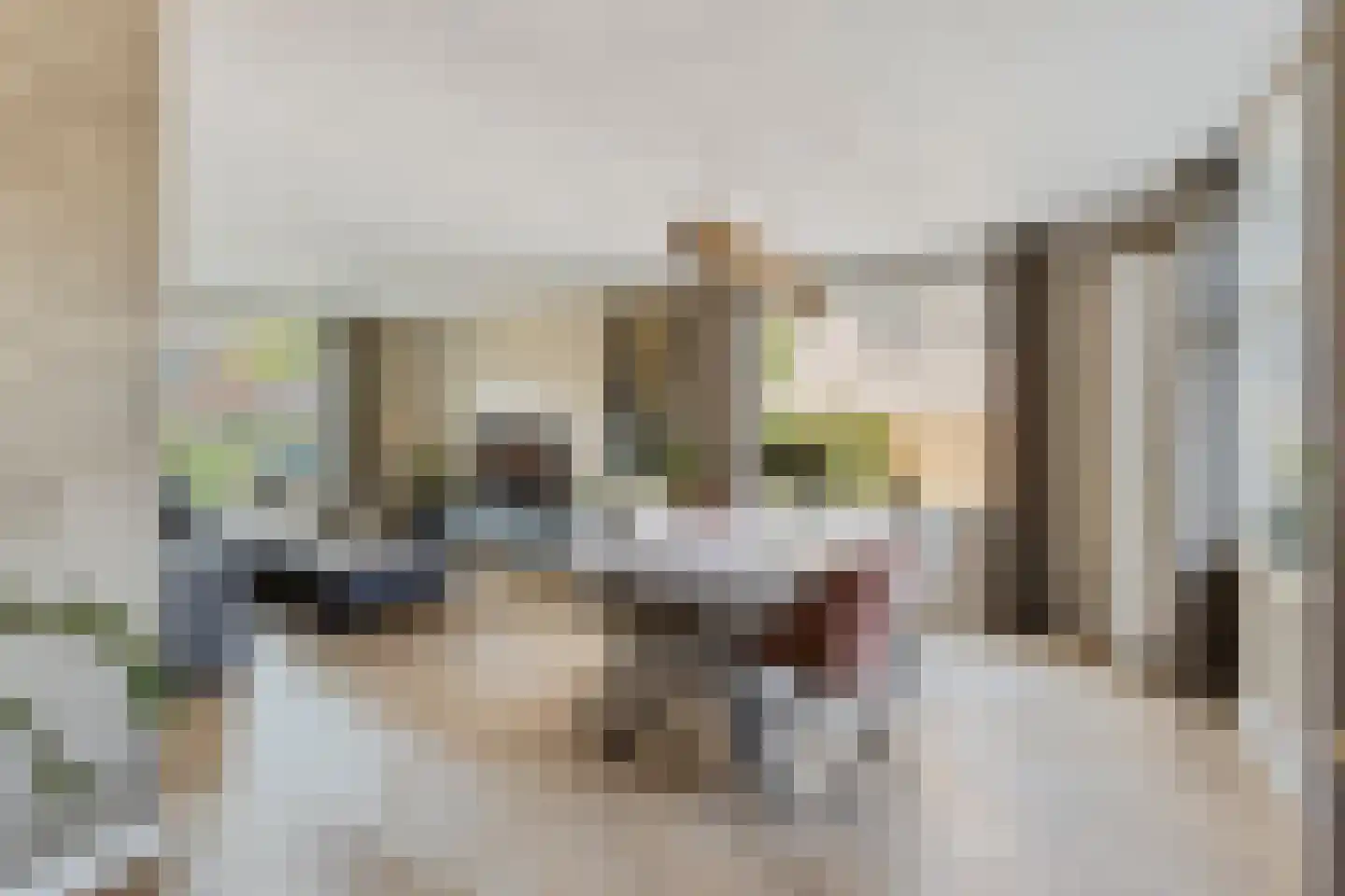 Pastoor van Vessemstraat 18 Klein Zundert thumbnail 9