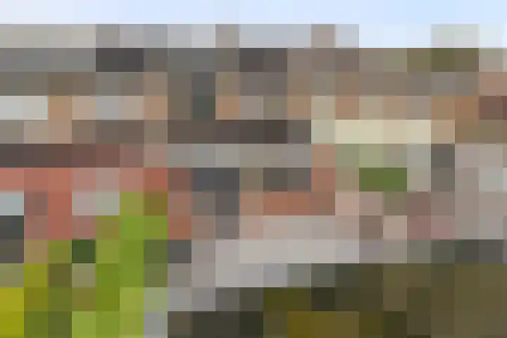Pastoor van Weesstraat 22 Etten-Leur thumbnail 36