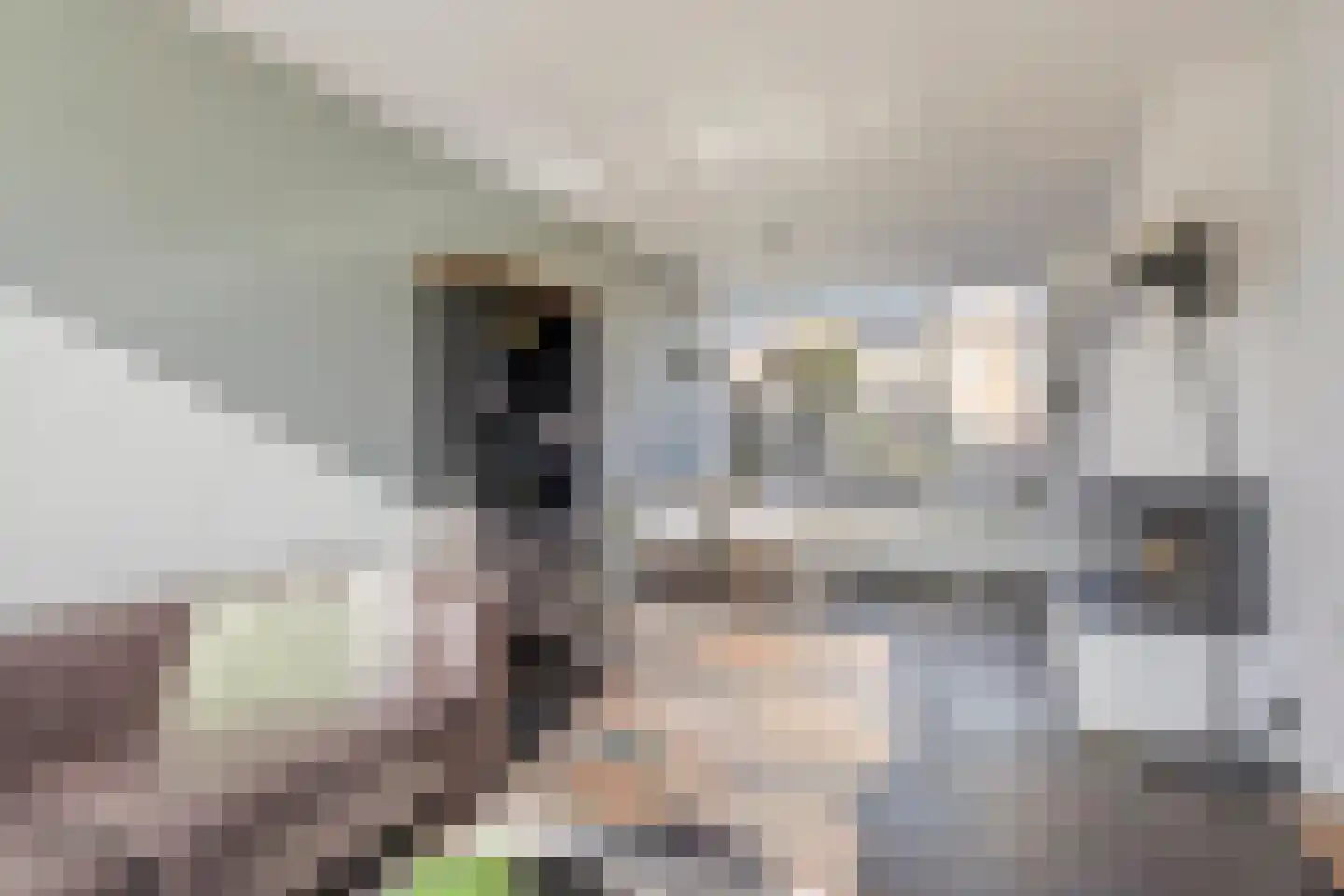 Pastoor van Weesstraat 34 Etten-Leur thumbnail 6