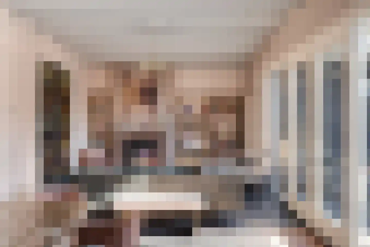 Pastoor van Winkelstraat 34 Schaijk thumbnail 23