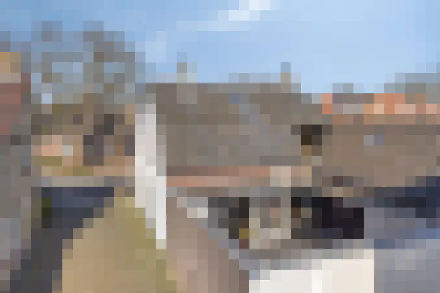 Pastoor van Winkelstraat 34 Schaijk thumbnail 52