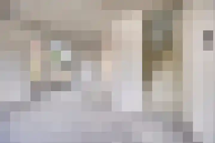 Pastoor van Winkelstraat 41 A Schaijk thumbnail 5