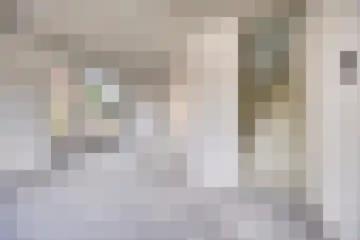Pastoor van Winkelstraat 41 B Schaijk thumbnail 5