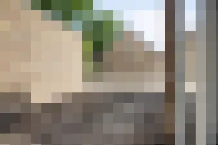 Pastoor van Winkelstraat 41 Schaijk thumbnail 20