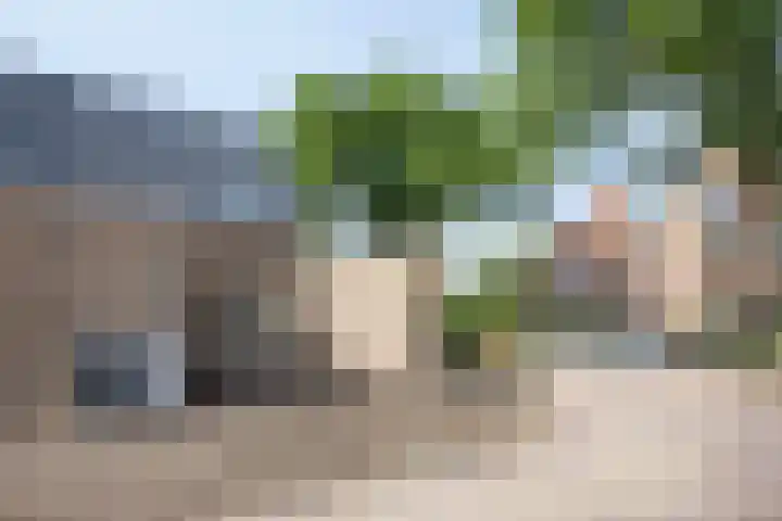Pastoor van Winkelstraat 41 Schaijk thumbnail 22