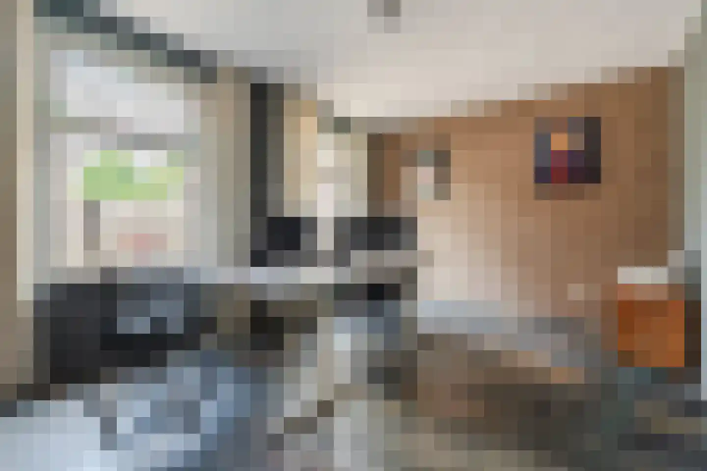 Pastoor van Winkelstraat 63 Schaijk thumbnail 32