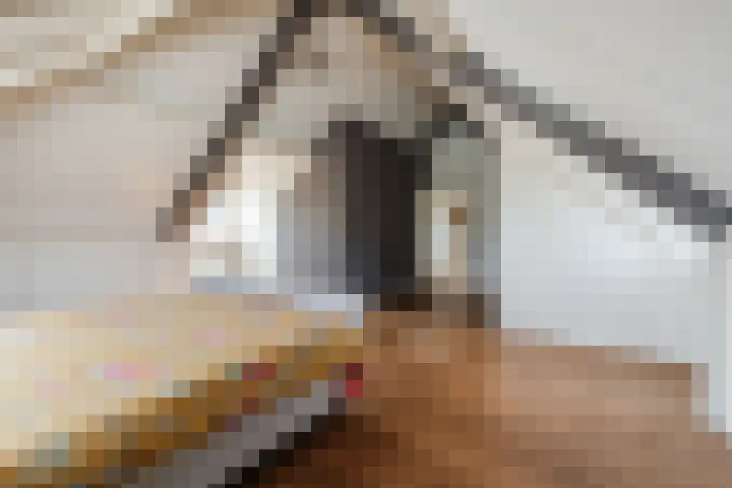 Pastoor van Winkelstraat 63 Schaijk thumbnail 45