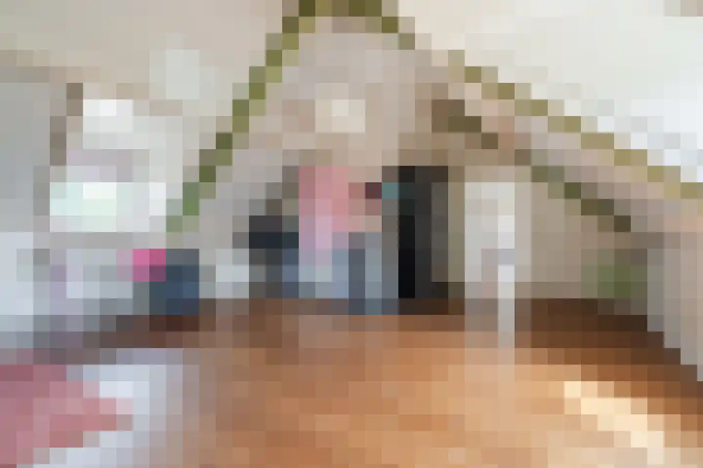 Pastoor van Winkelstraat 63 Schaijk thumbnail 50