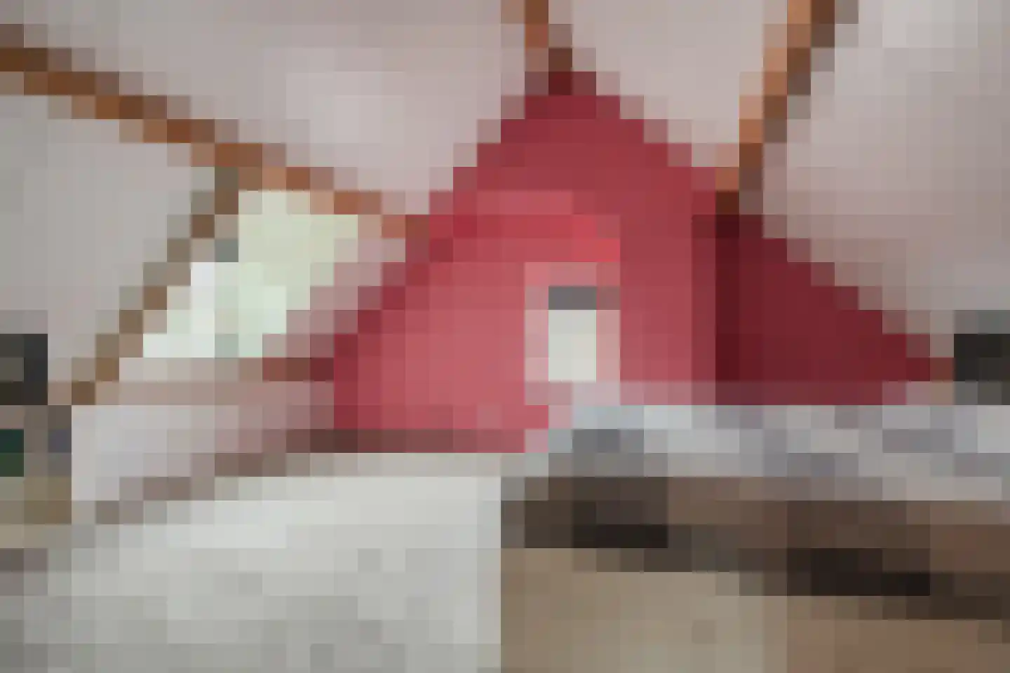 Pastoor van Winkelstraat 63 Schaijk thumbnail 55